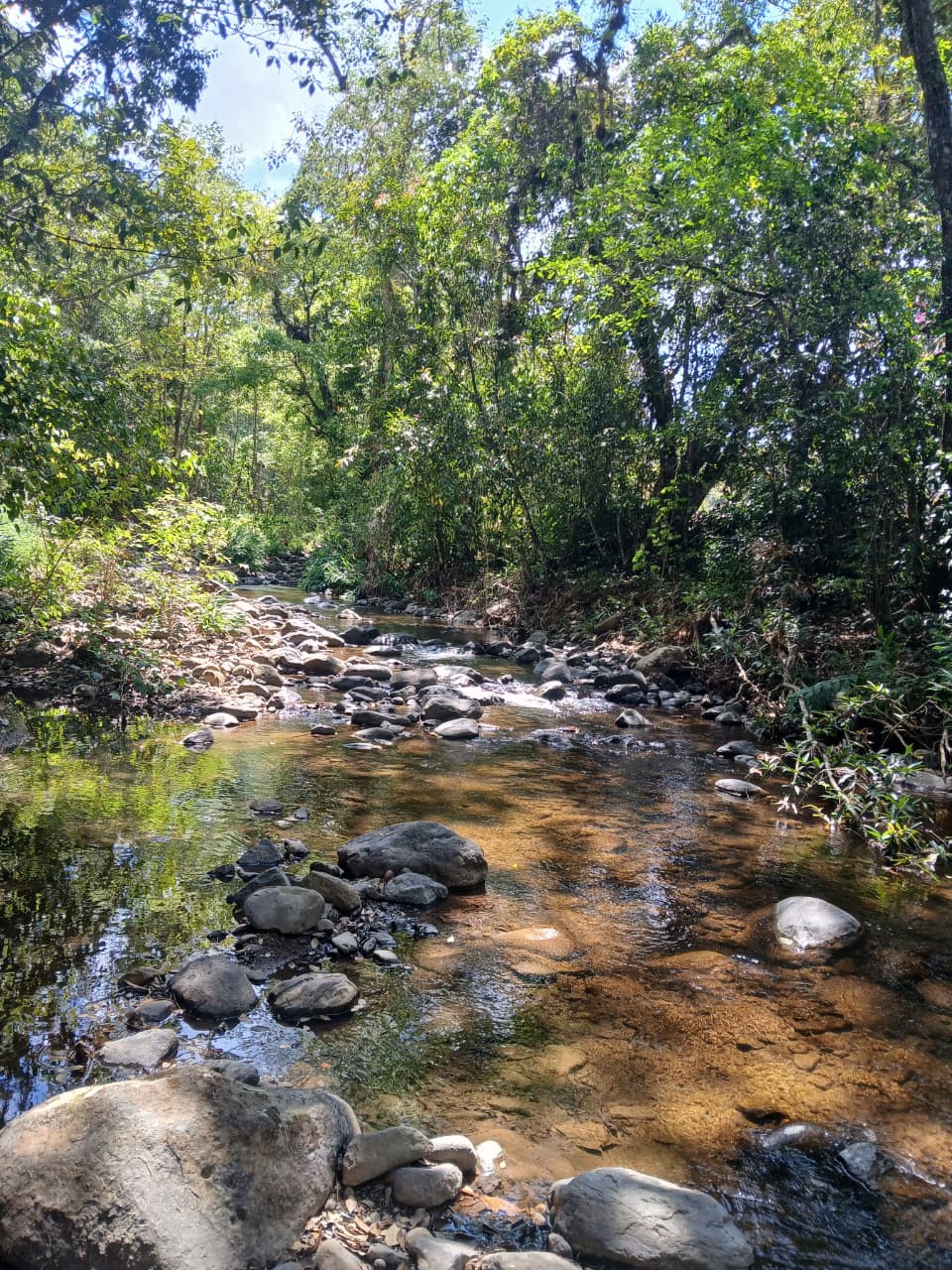 River near CICHAZ